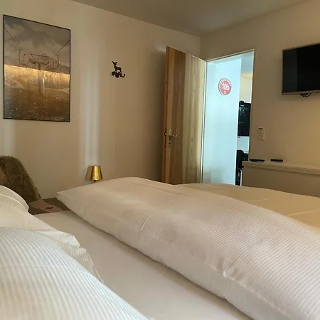 Apartment Saaserhof Saas-Fee